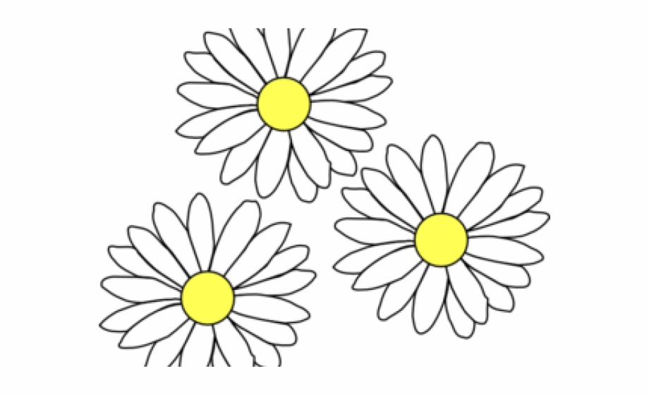 daisies clipart flowr