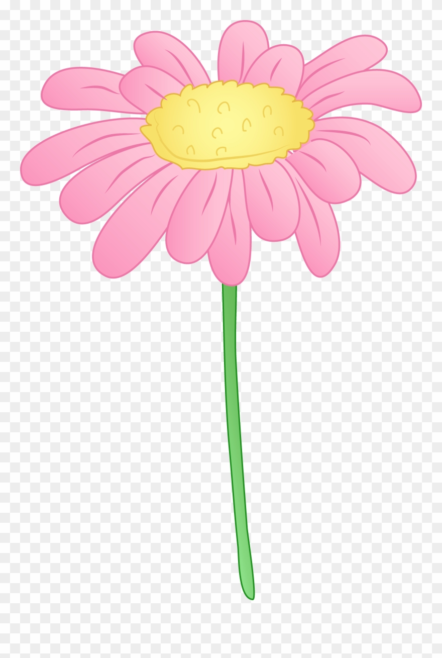 daisy clipart flowering plant