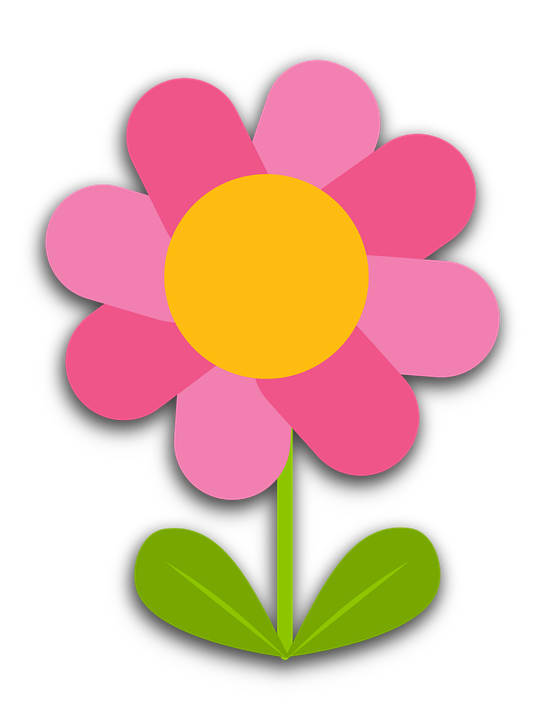 Daisy clipart garden tour. Free photo flower blooming