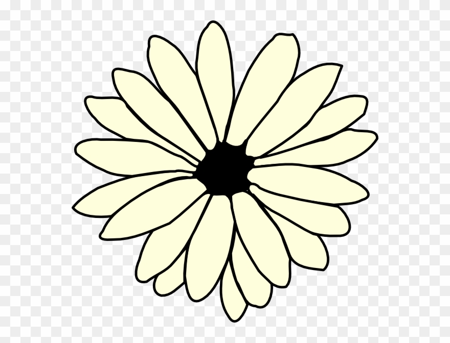Transparent black and white. Daisies clipart garden tour
