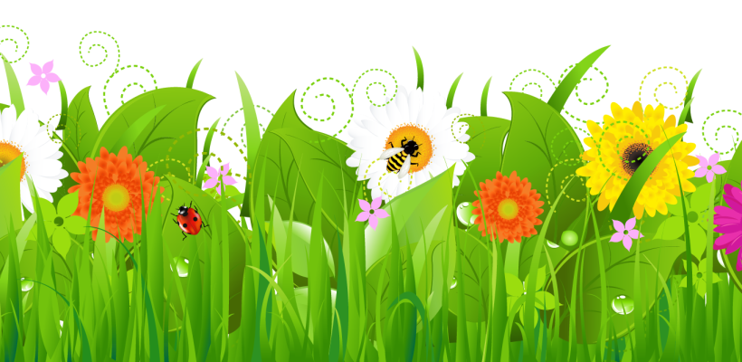 Year science lesson snaresbrook. Daisies clipart grassy