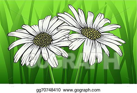 daisies clipart green grass background