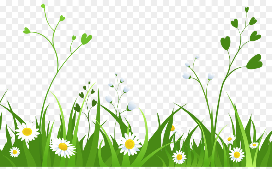 daisies clipart green grass background
