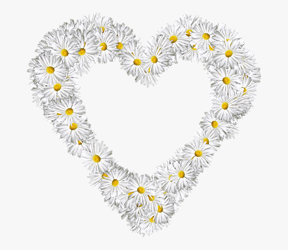 daisy clipart heart