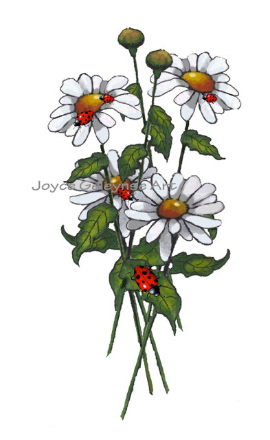 daisies clipart ladybug
