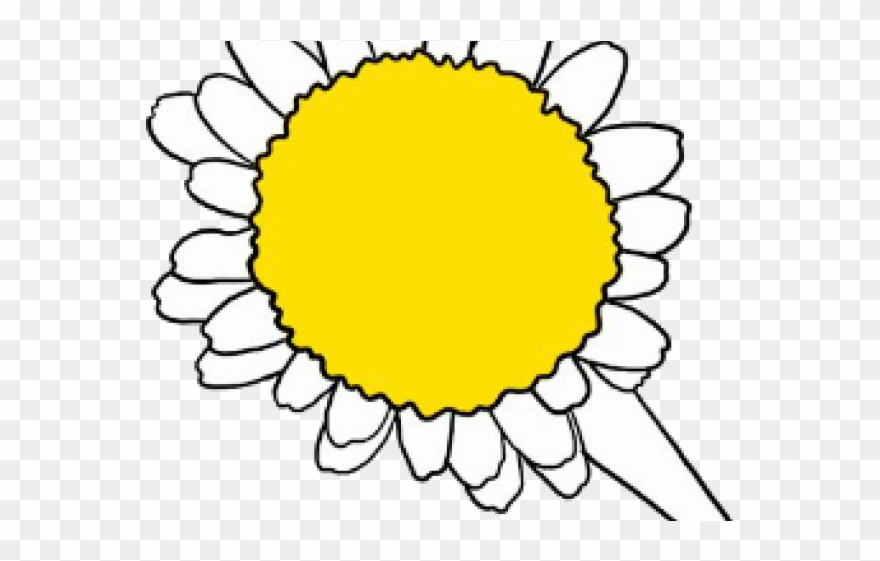 daisy clipart living thing