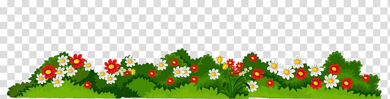 Daisies clipart long grass. Flower flowers with white