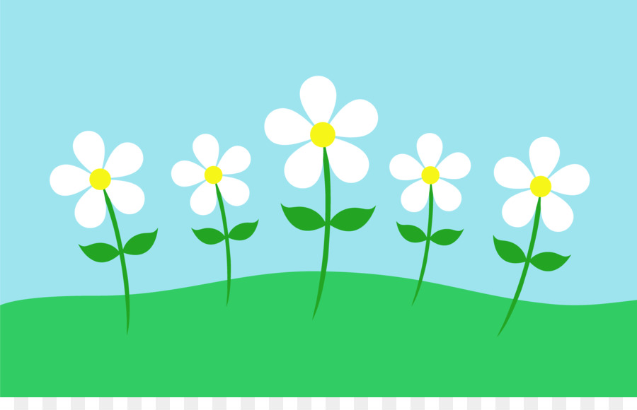 Green background png download. Daisies clipart long grass