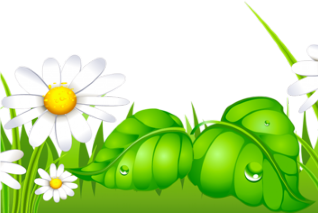 daisies clipart march flower