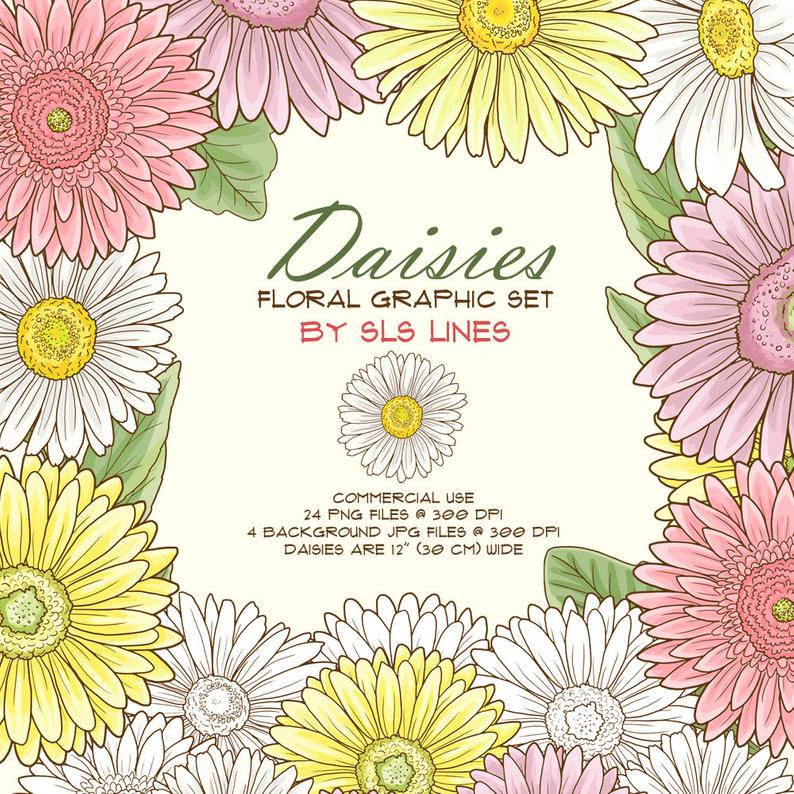 daisies clipart pastel