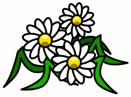 daisy clipart public domain