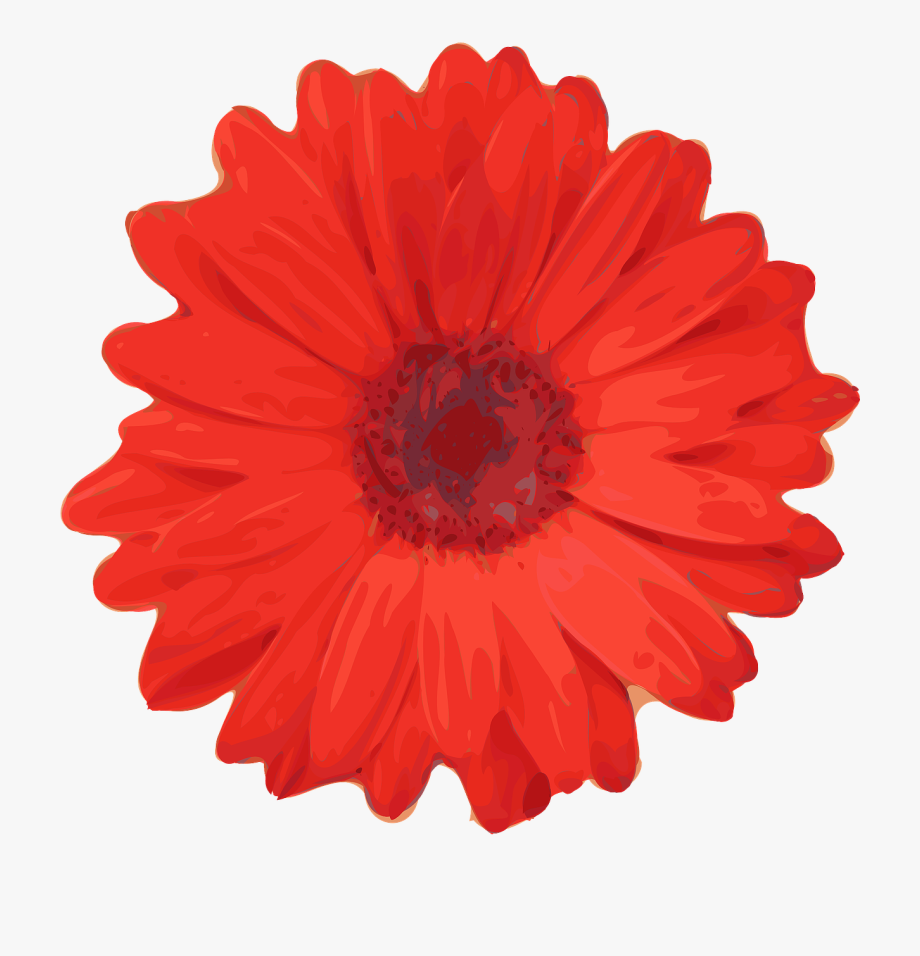 Clip art flowers free. Daisy clipart realistic