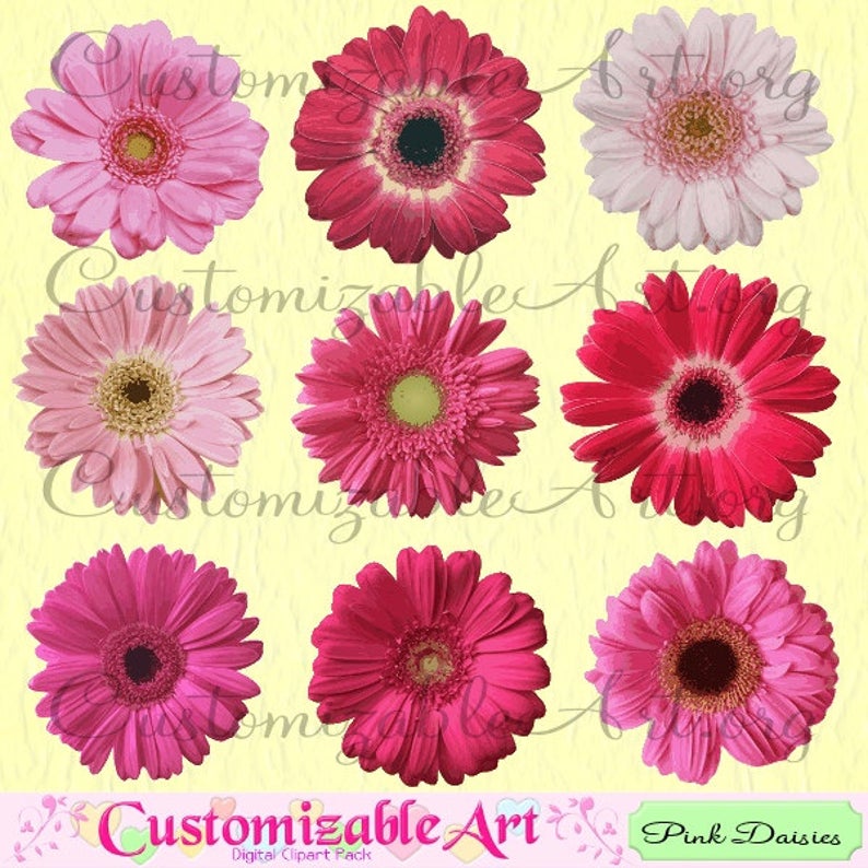 daisies clipart red daisy
