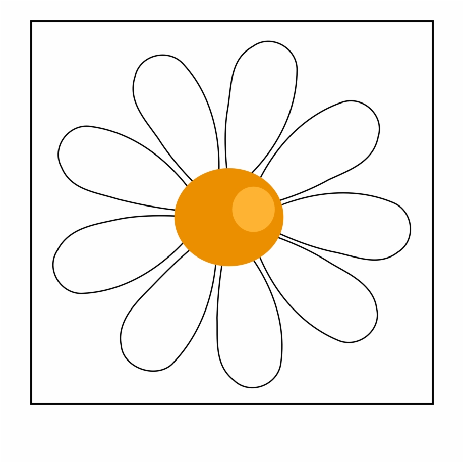 daisies clipart simple daisy