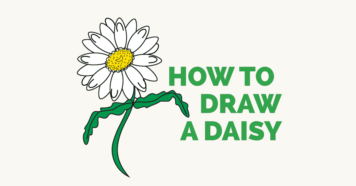 daisies clipart simple landscape