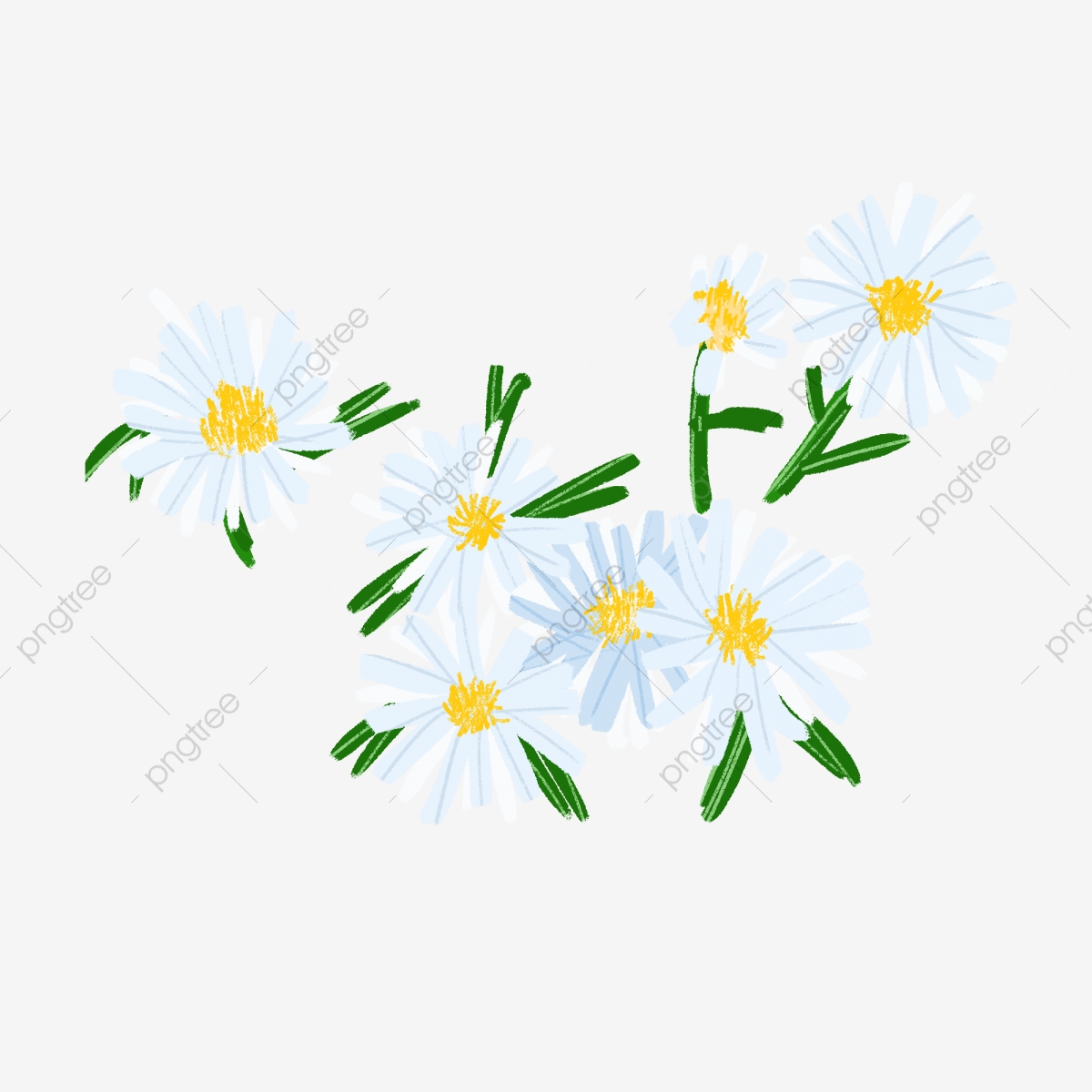 Hand painted fresh and. Daisies clipart small daisy