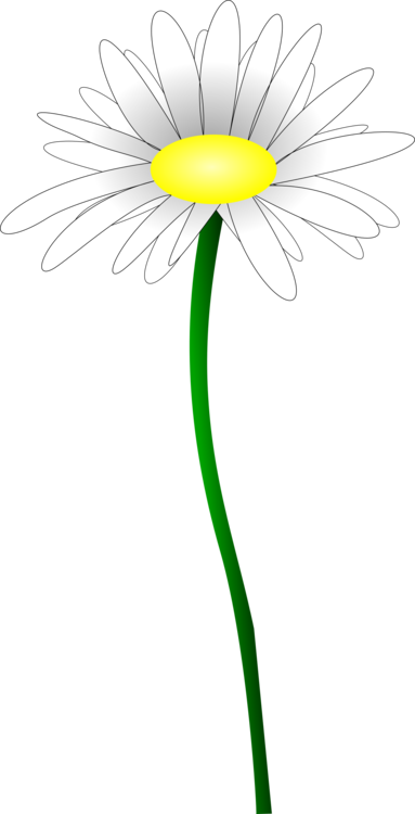 daisies clipart stem