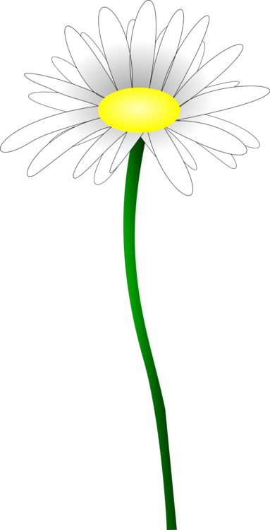 Free daisy download clip. Daisies clipart stem