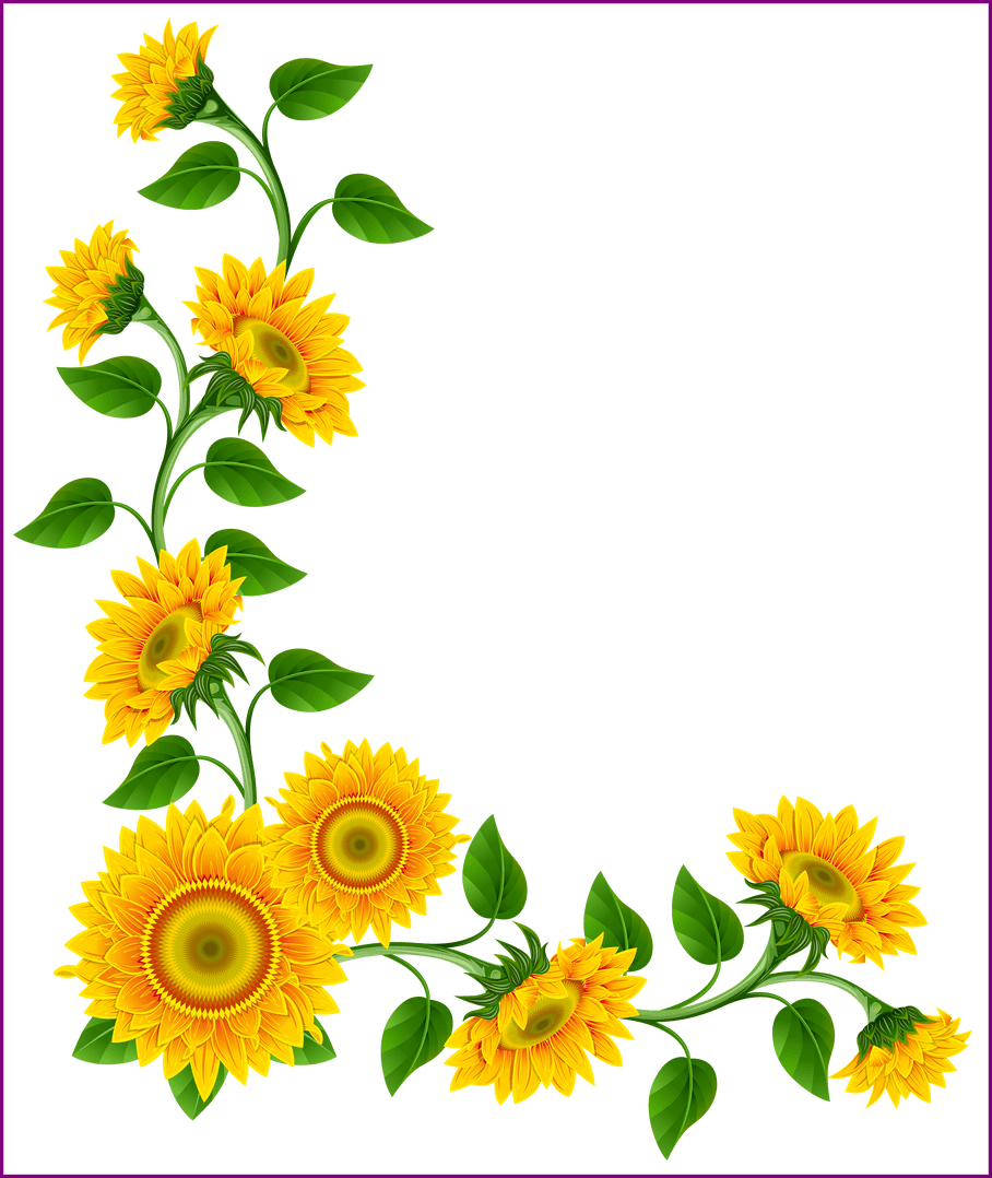 daisies clipart sun