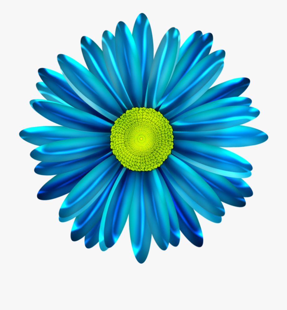 daisies clipart turquoise