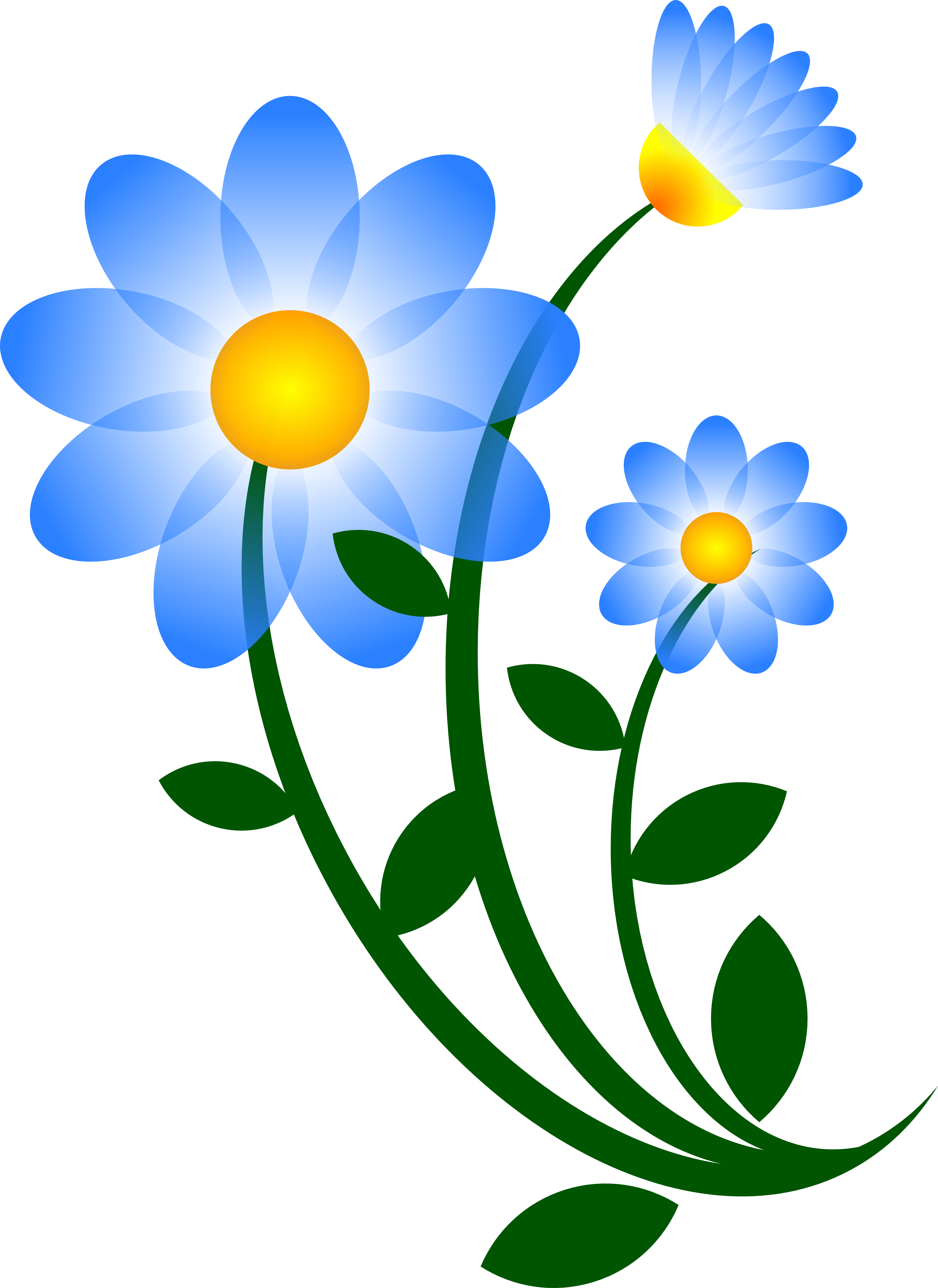 daisies clipart vector