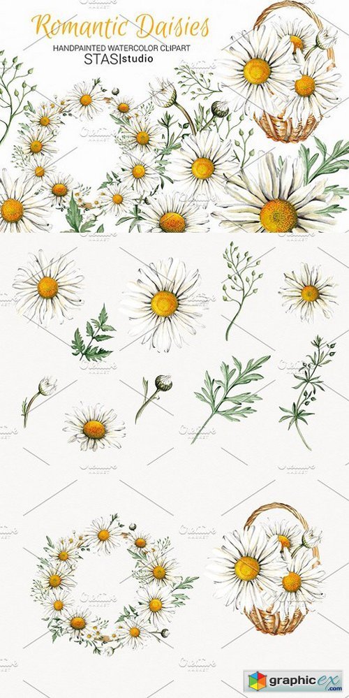 daisies clipart watercolor
