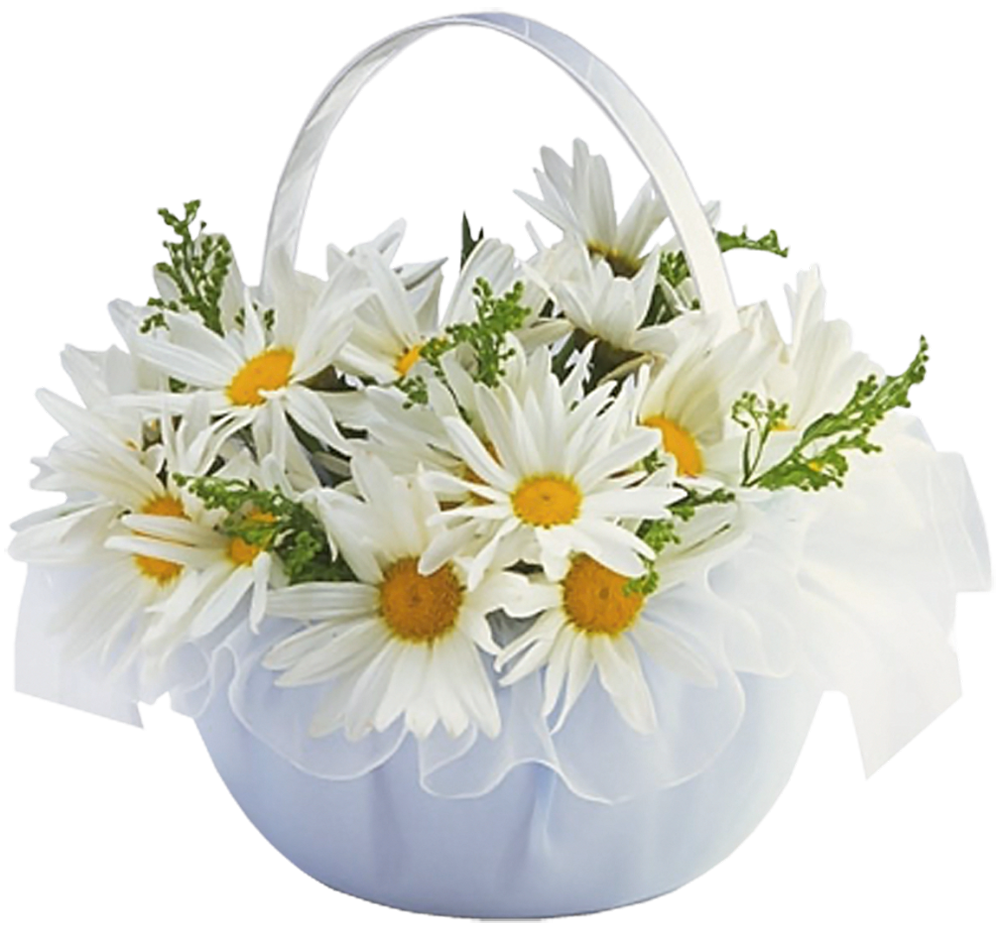 Daisies clipart wheat grass. Basket with transparent gallery