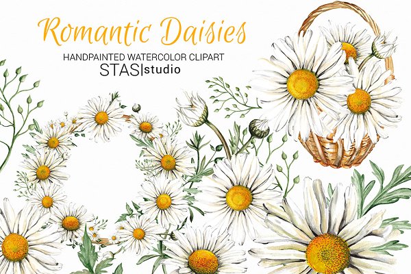 Watercolor illustrations creative market. Daisies clipart whimsical