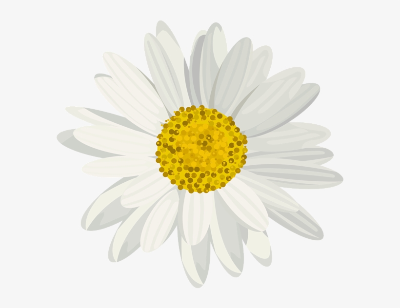 Daisies clipart whimsical. Art images daisy clip