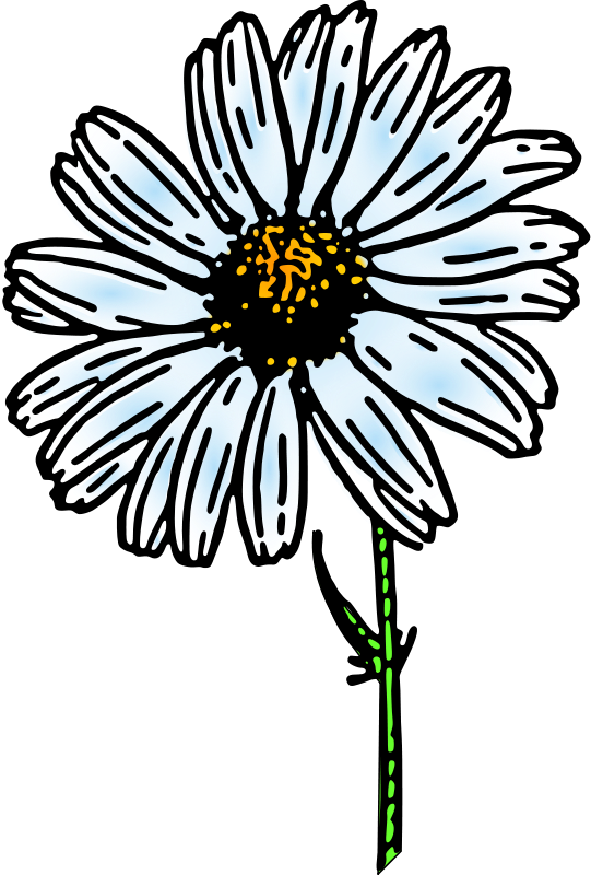 daisies clipart wilted