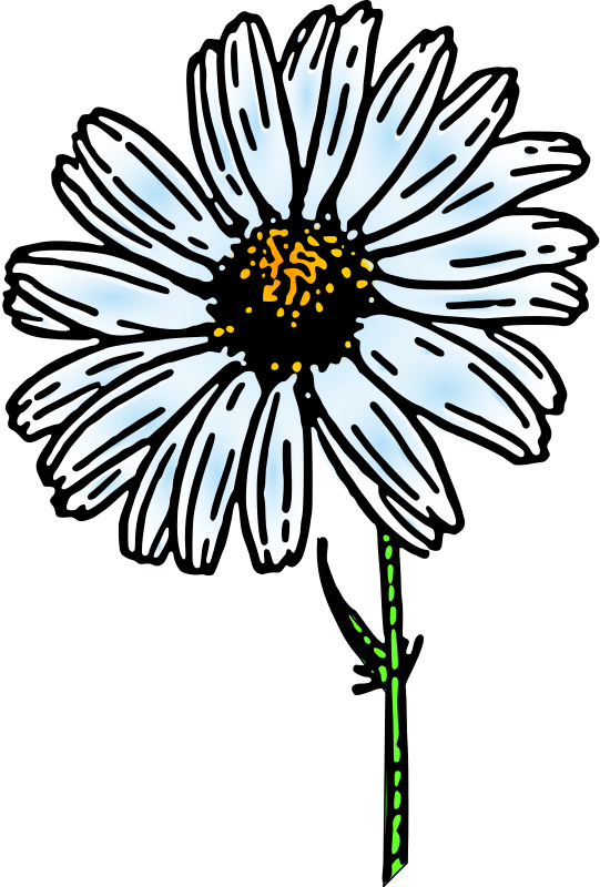 Daisies clipart wilted. Free sideways daisy collection