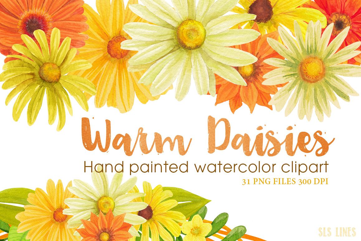 daisies clipart yellow daisy