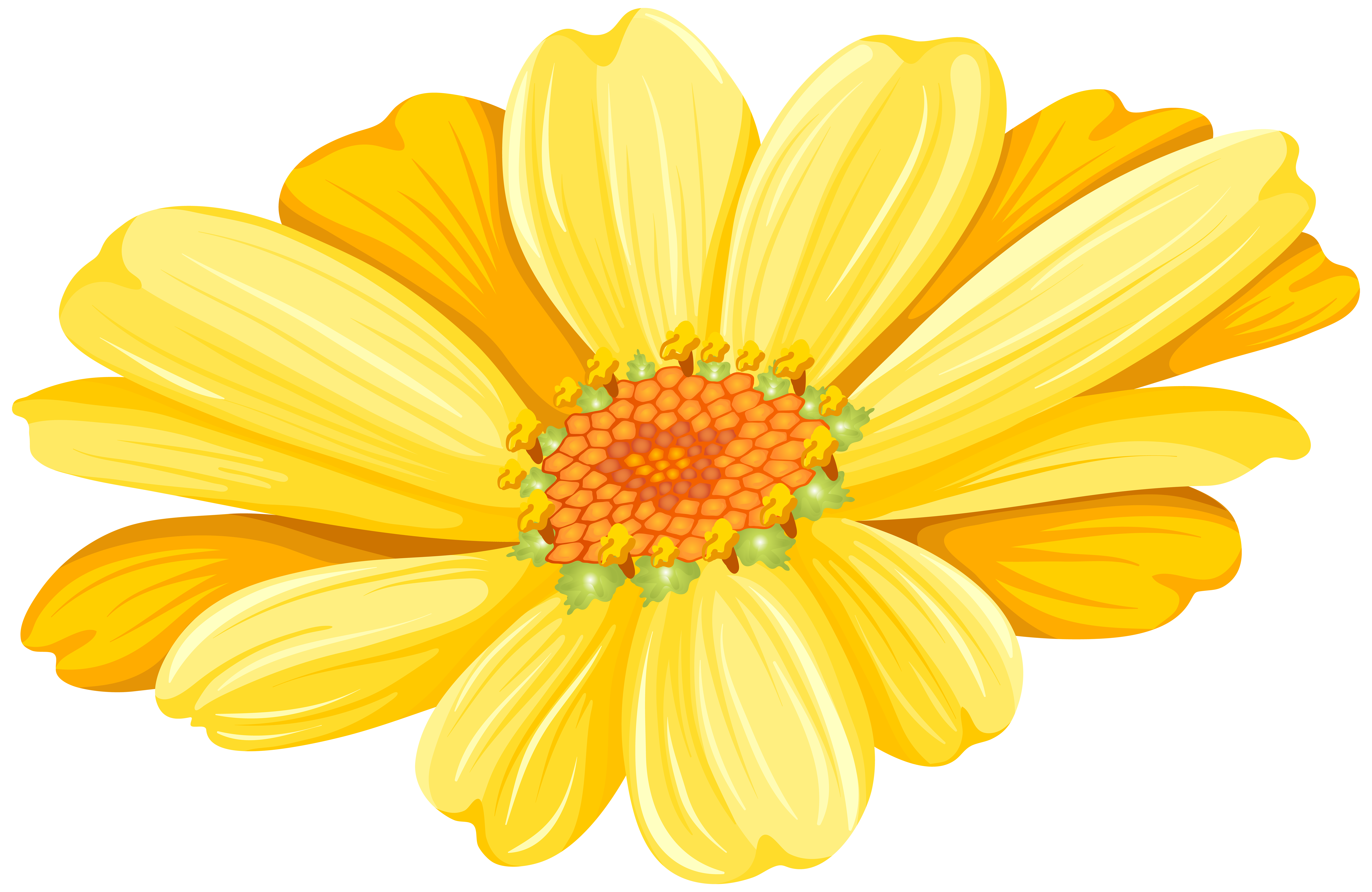 daisies clipart yellowflower