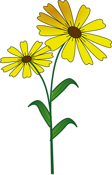 daisy clipart yellow daisy
