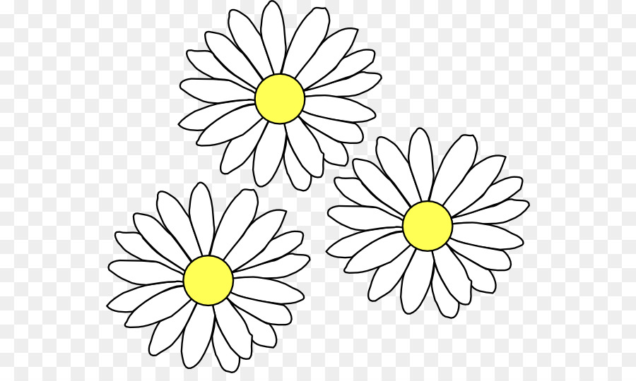 Daisies clipart clip art, Daisies clip art Transparent FREE for ...