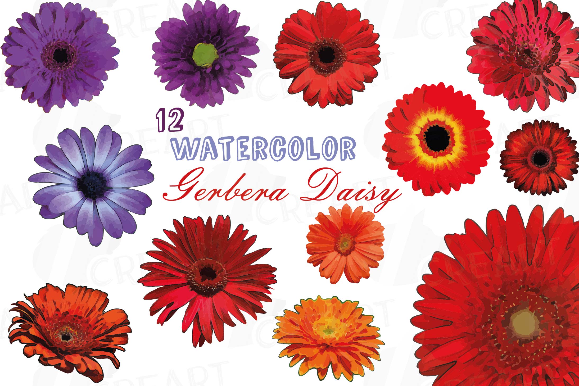 Daisy clipart colorful daisy. Watercolor gerbera clip art