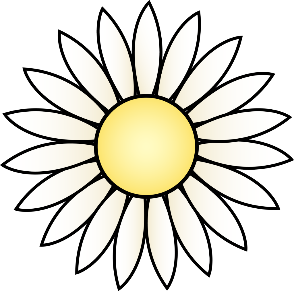 daisy clipart coloured flower