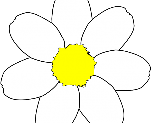 Daisy clipart daisey, Daisy daisey Transparent FREE for download on ...