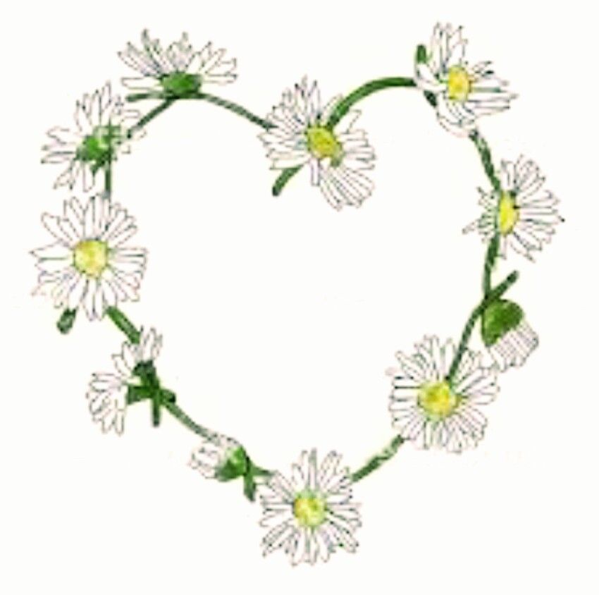 Heart tattoo idea tatts. Daisy clipart daisy chain