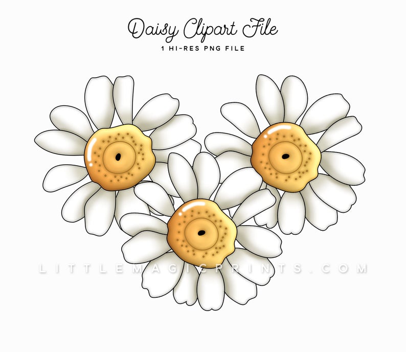 Daisy clipart file. Flower petals white spring