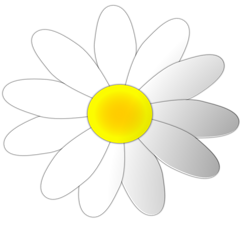 daisy clipart flower day