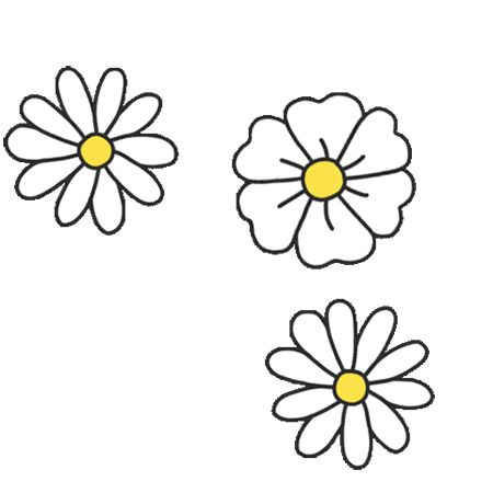 daisy-clipart-flower-gif.gif