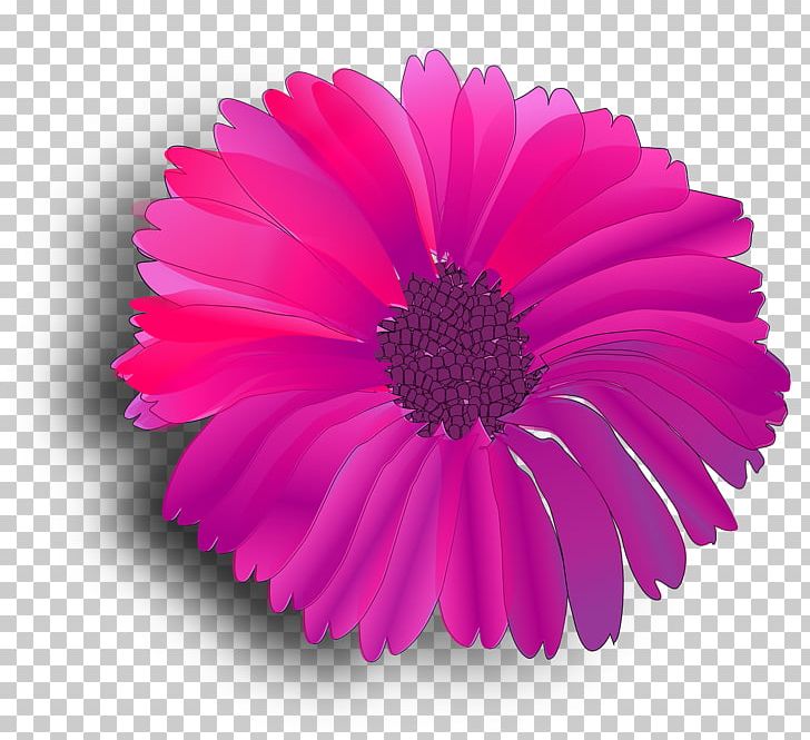 Fuchsia graphics png annual. Daisy clipart fuschia flower
