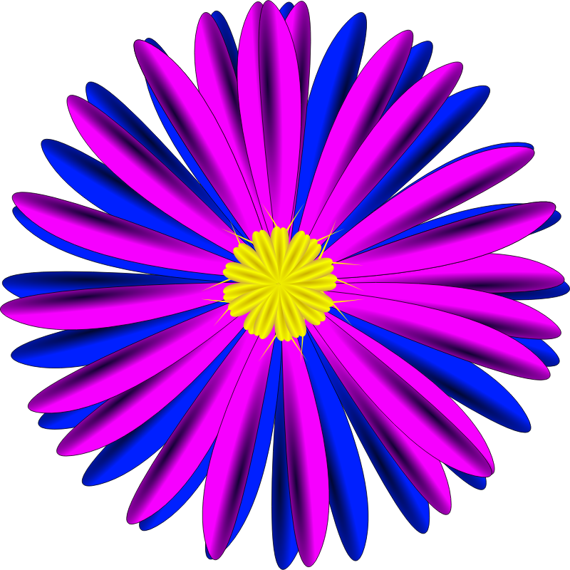 Daisy clipart fuschia flower. Pink blue free on