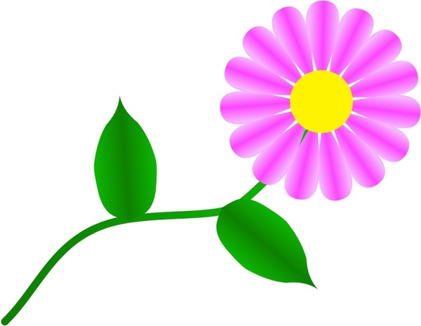 Fuchsia free vector in. Daisy clipart fuschia flower