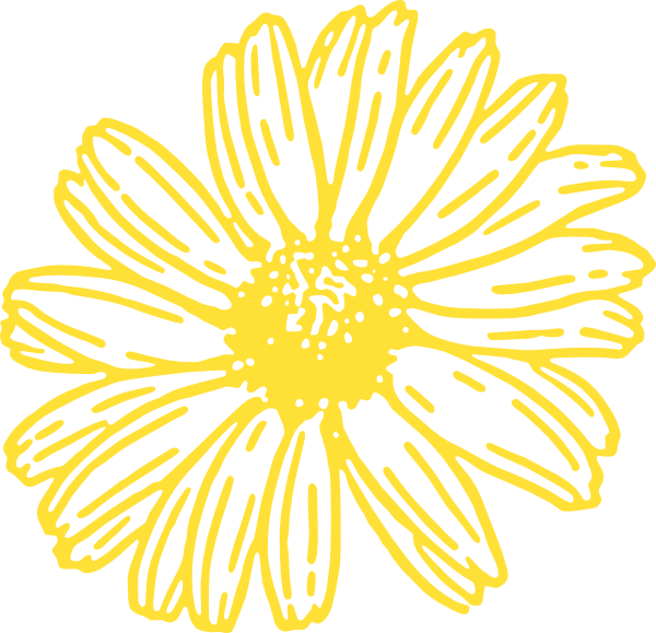 daisy clipart gerber daisy
