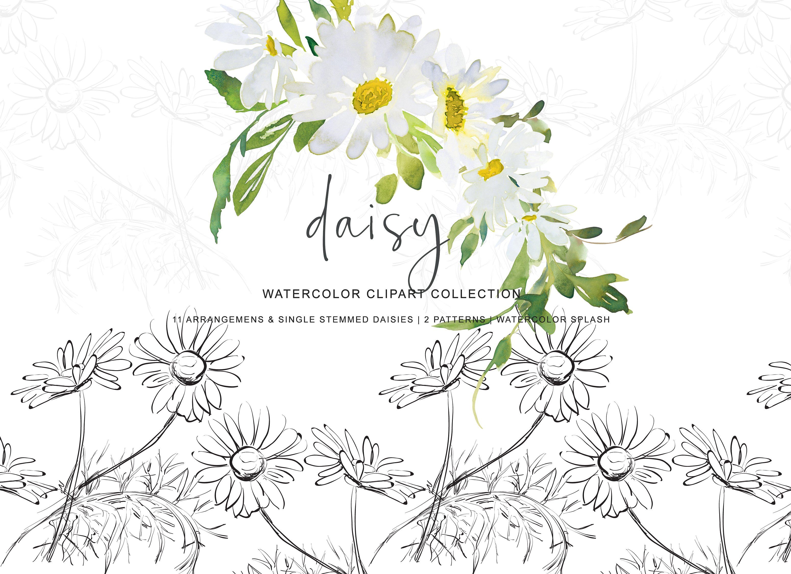 daisy clipart graphic