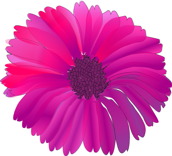 daisy clipart hot pink flower