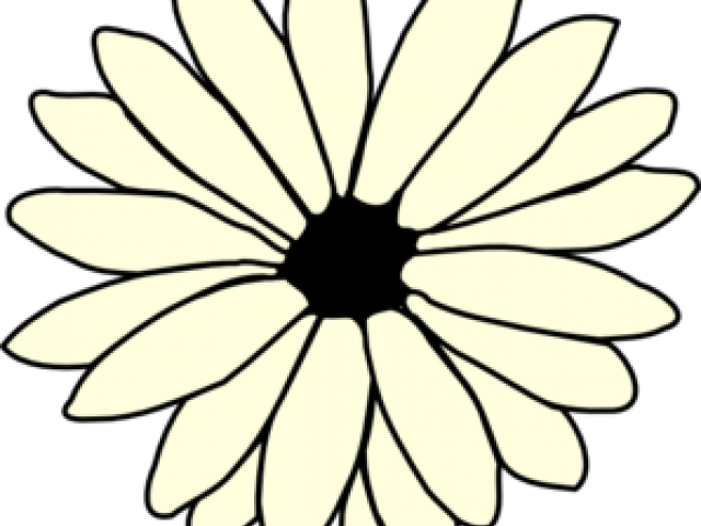 daisy clipart margarita flower
