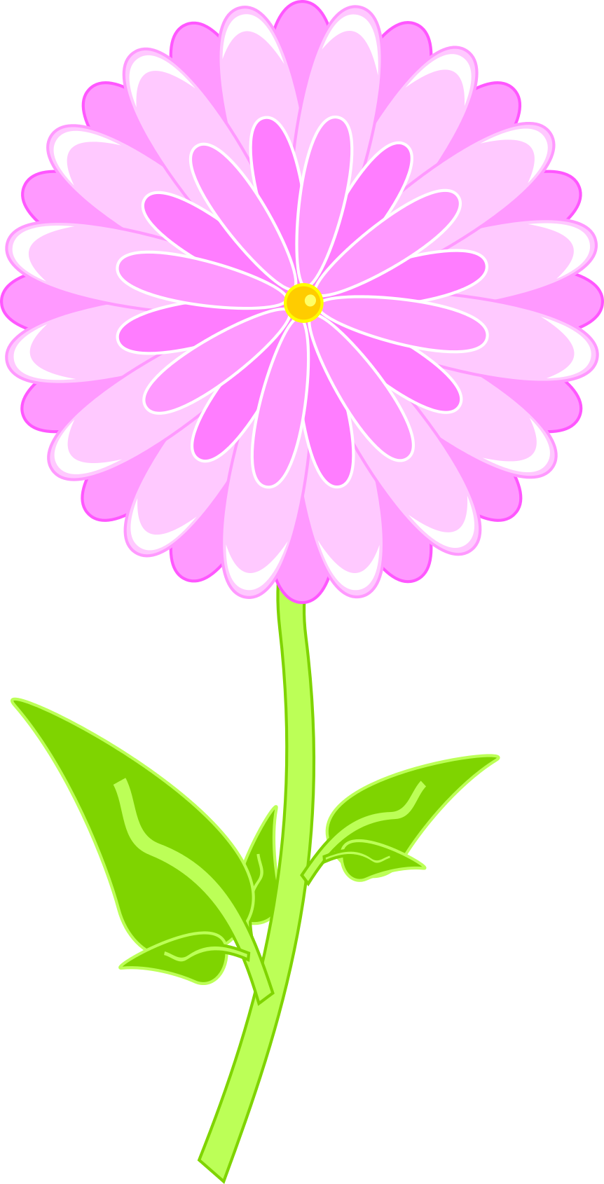 margarita flower